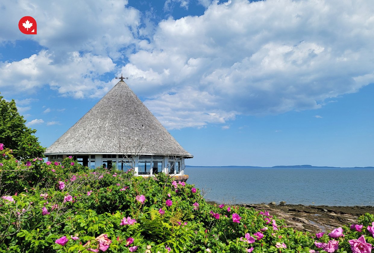 10 Cool and Unusual Things to Do in New Brunswick Murshid Official